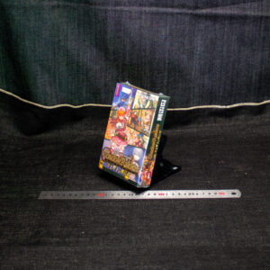 シャドウレイダーズ：女王陛下の飛行船