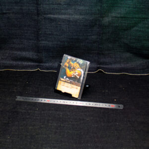 マウンテンキング：チャンピオンミニ拡張